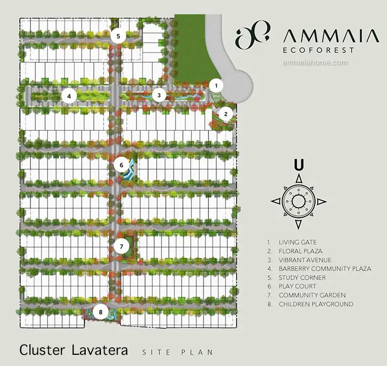 Cluster Lavatera Ammaia Ecoforest Siteplan